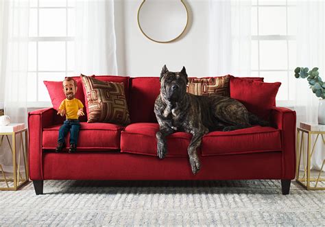 My Sofas Give You More Than Just Comfort – Bob's Blog.